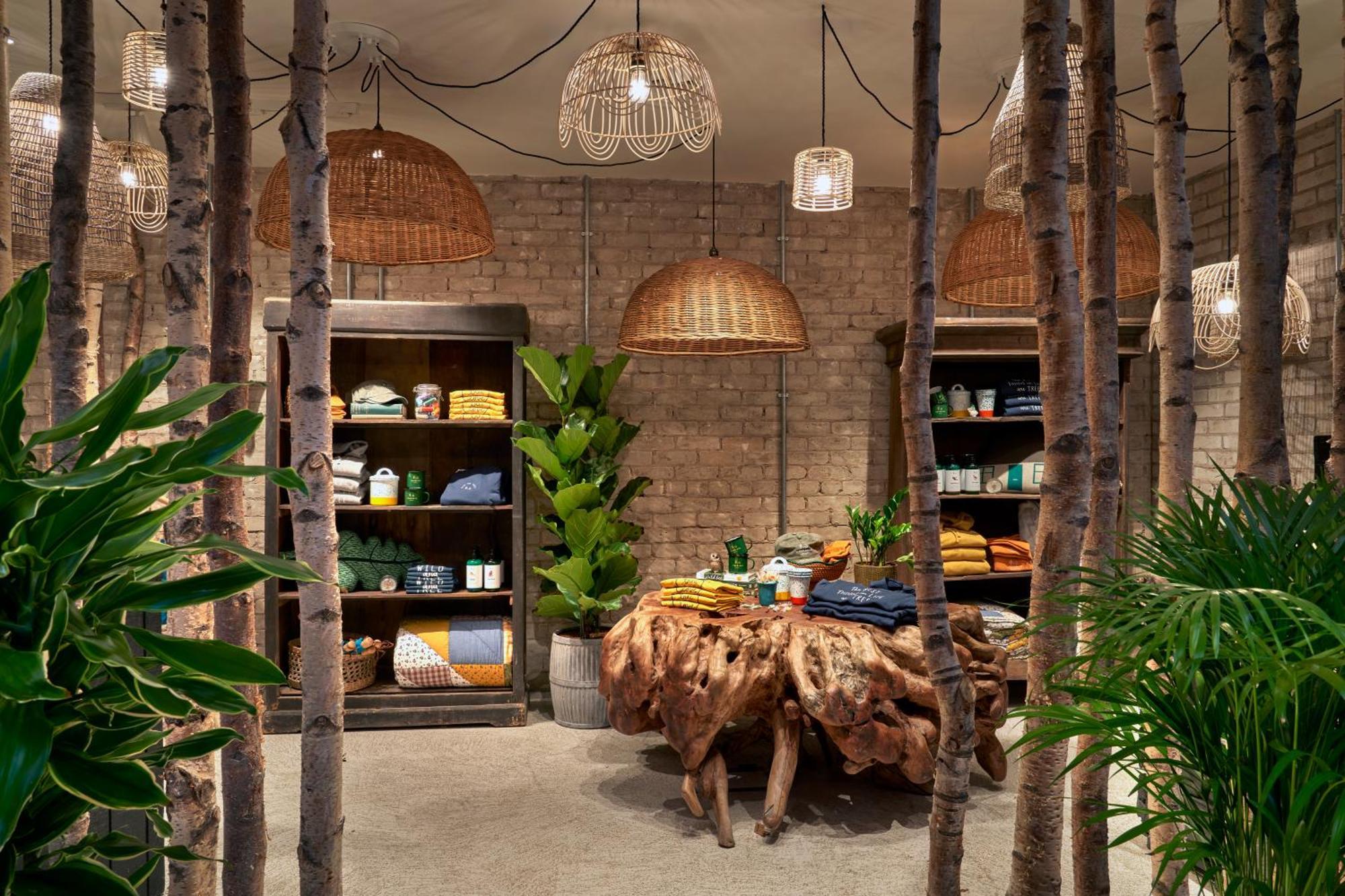Treehouse Hotel Manchester Ngoại thất bức ảnh